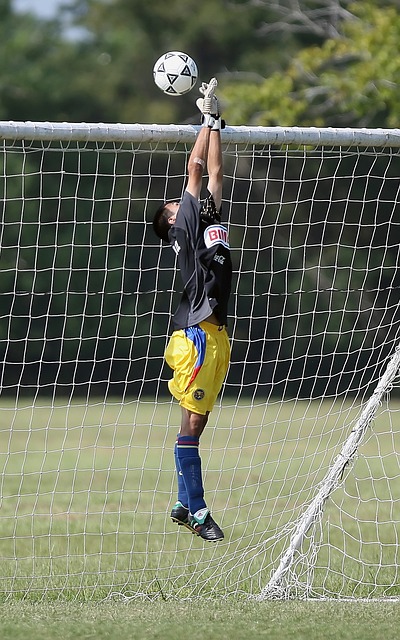 他的助攻和 他的助攻和