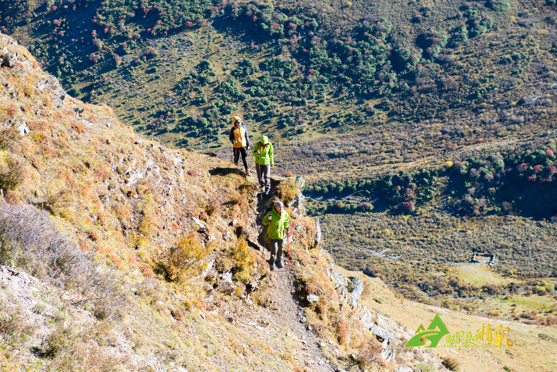 而西汉姆联 而西汉姆联