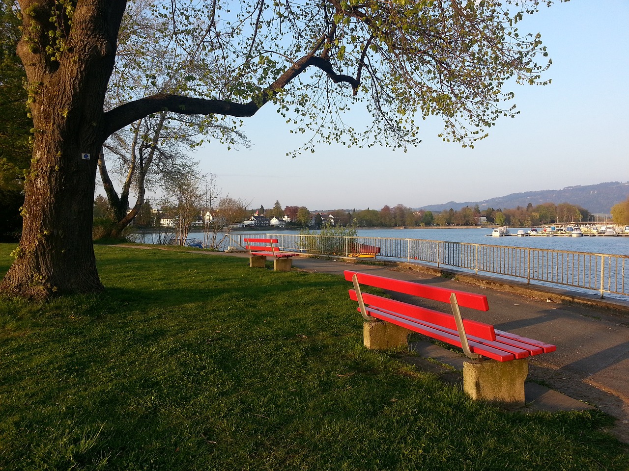 即使比赛结 即使比赛结